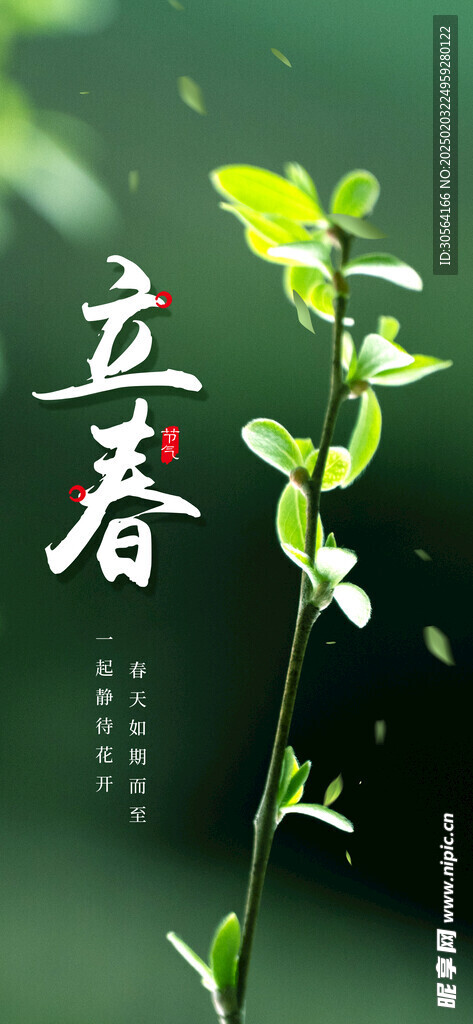 立春