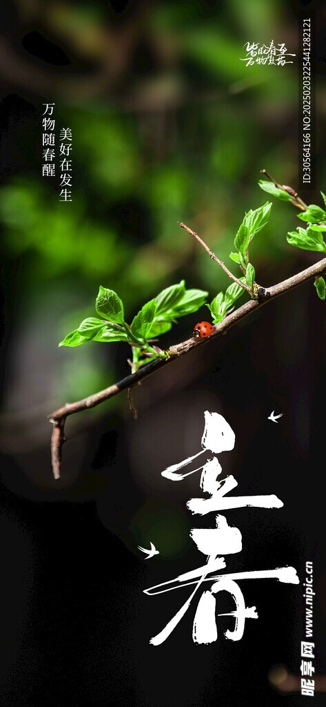 立春