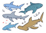 海豚元素插画  