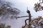 山脉山峰图片