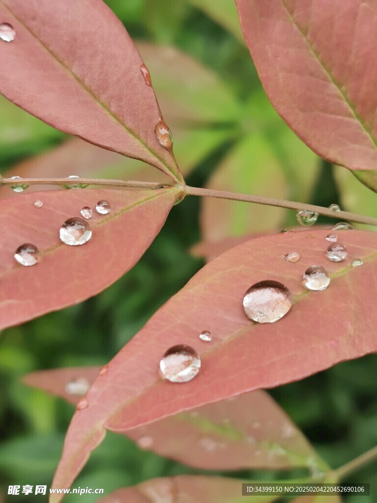 水滴