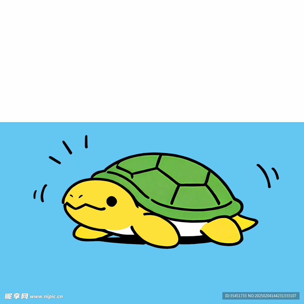 海龟