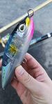 路亚饵鱼饵