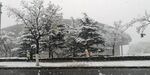  雪景