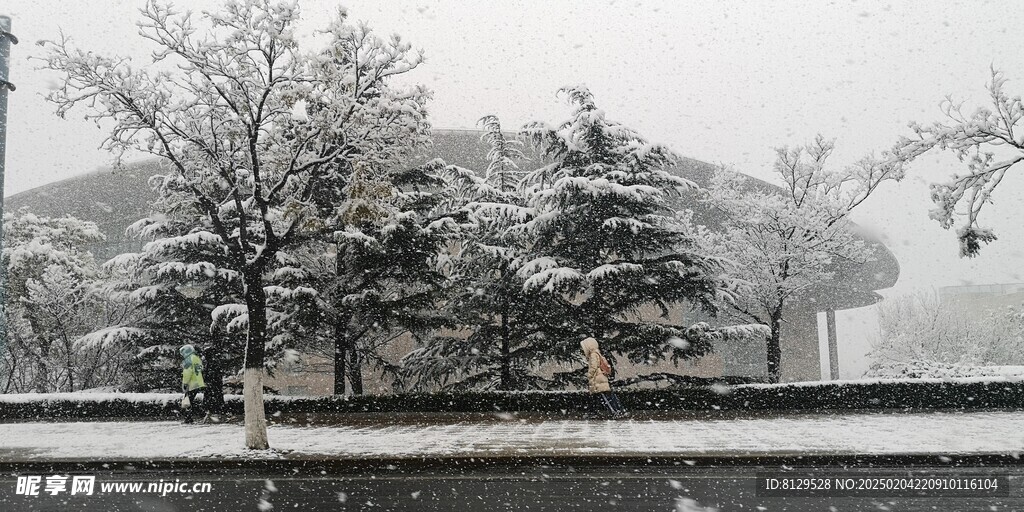  雪景