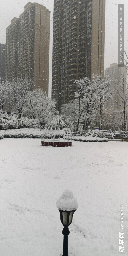  雪景