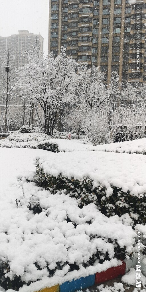 雪景