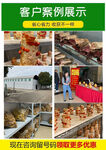 红栓菌