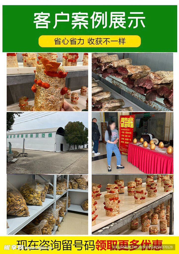 红栓菌