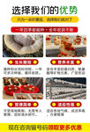 红栓菌