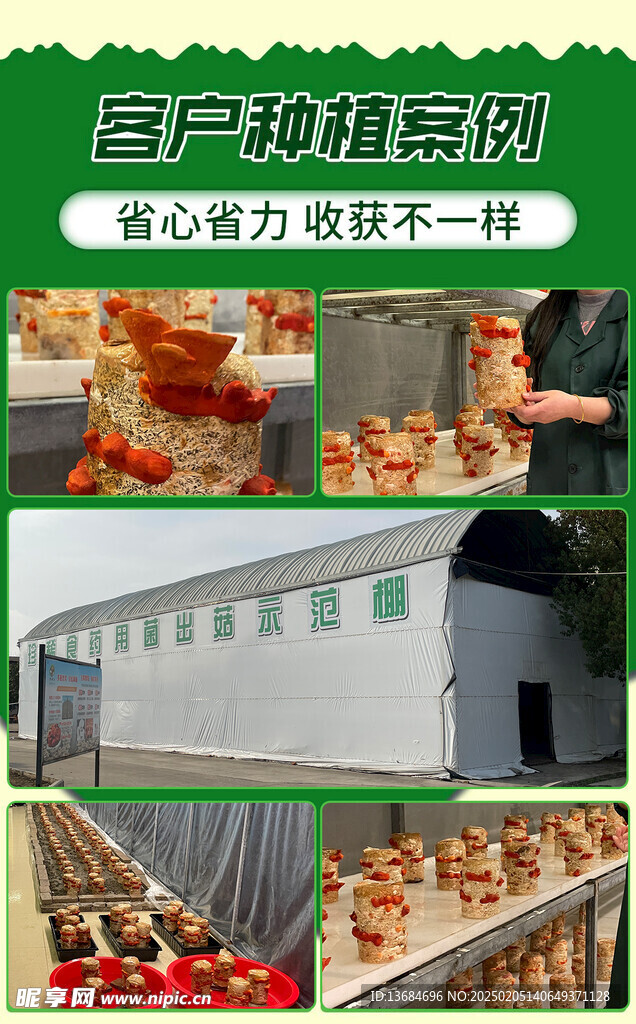 红栓菌