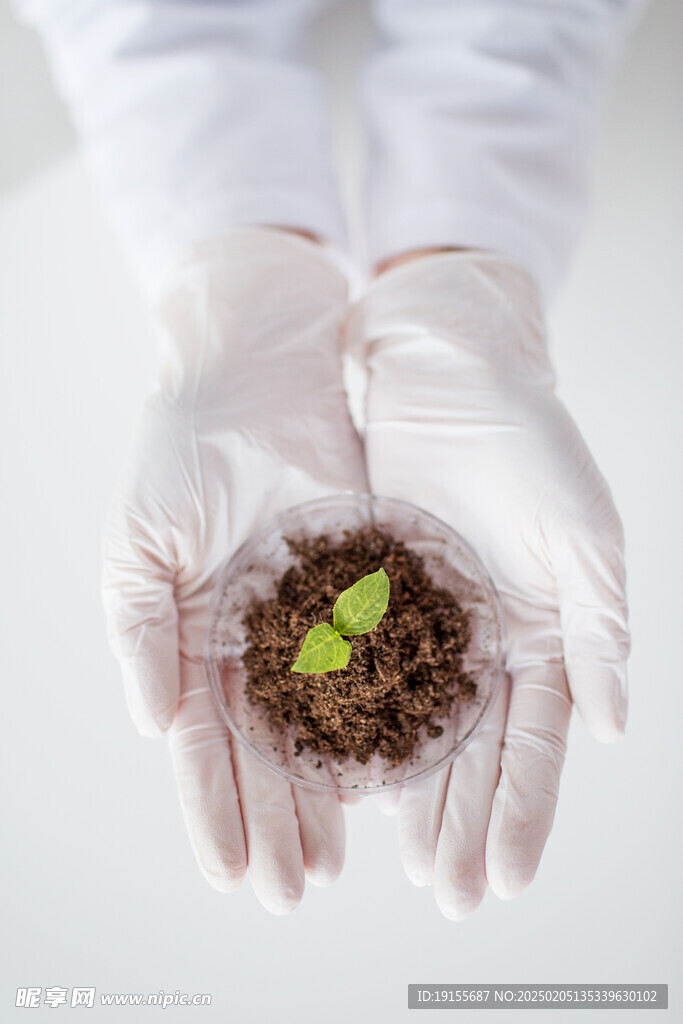 土壤种植科学育苗