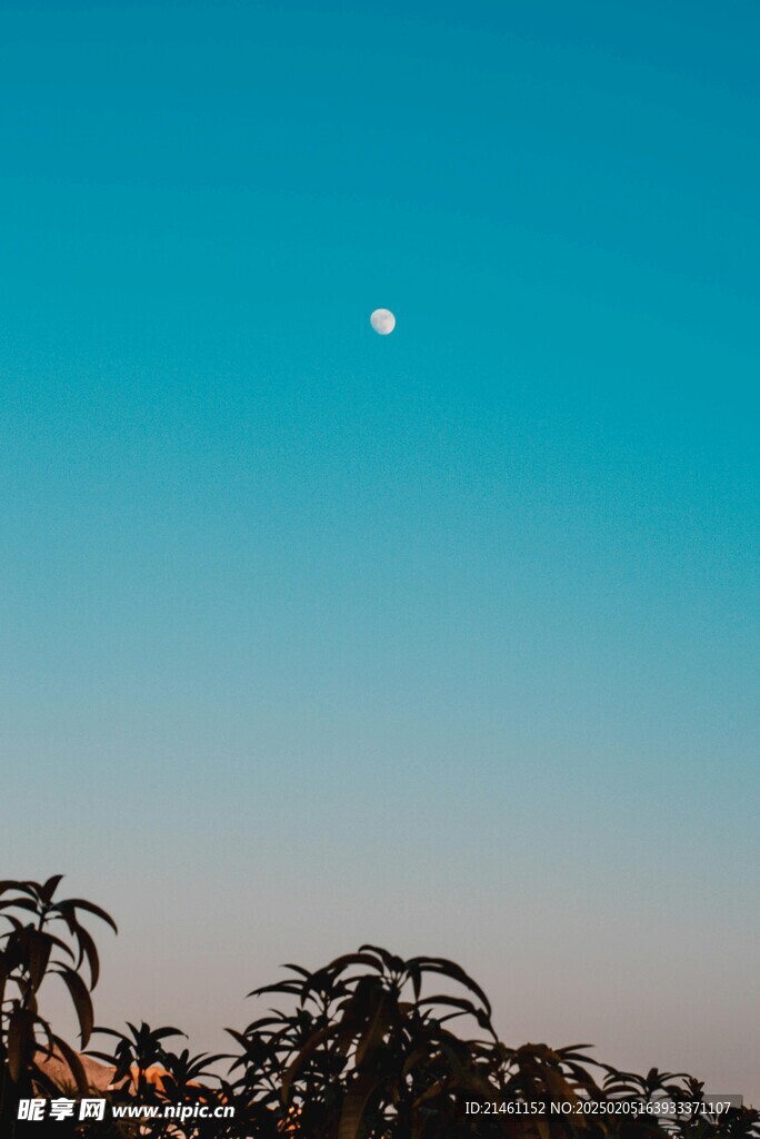 月亮