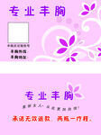 专业丰胸