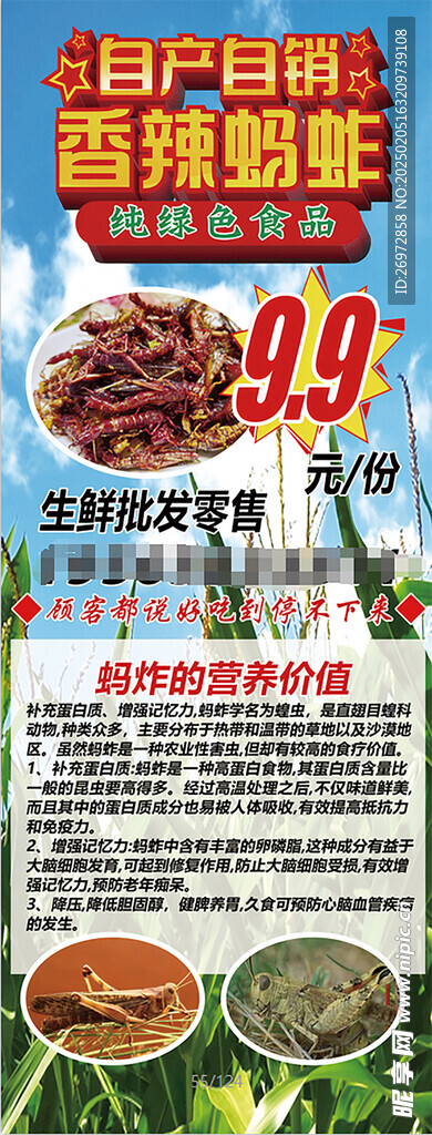 蚂蚱