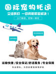 宠物托运 