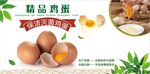 精品鸡蛋 