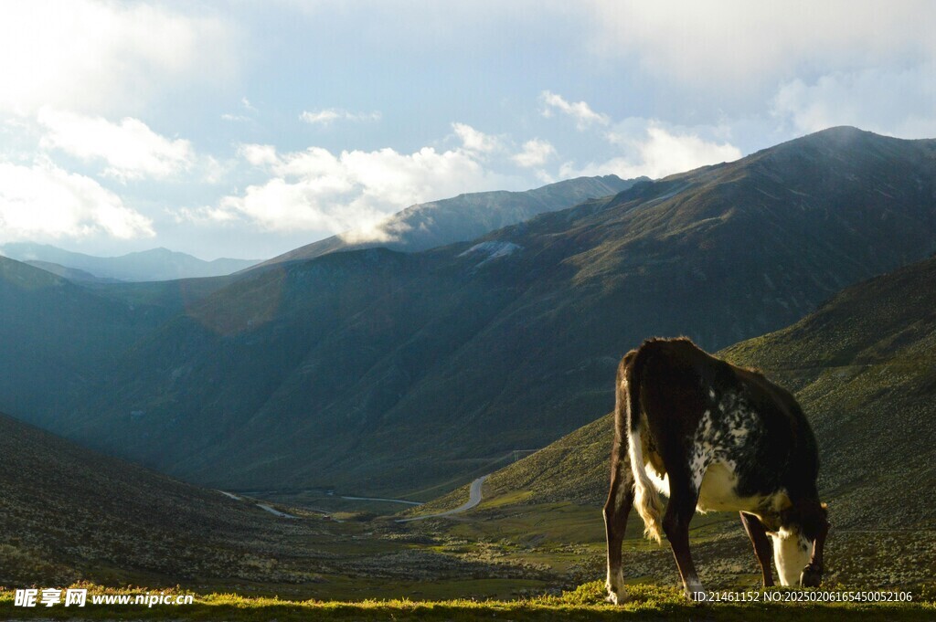 高山