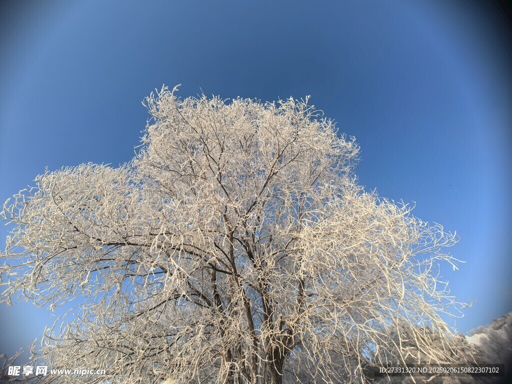 吉林雾凇