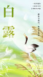 白露