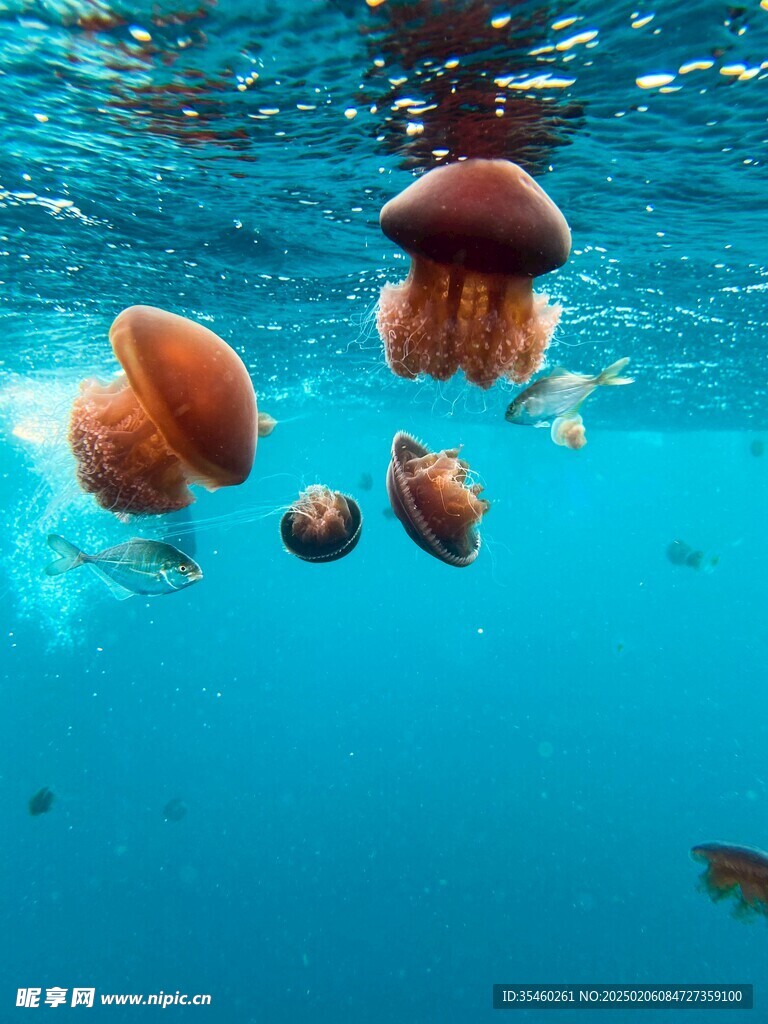 海底世界