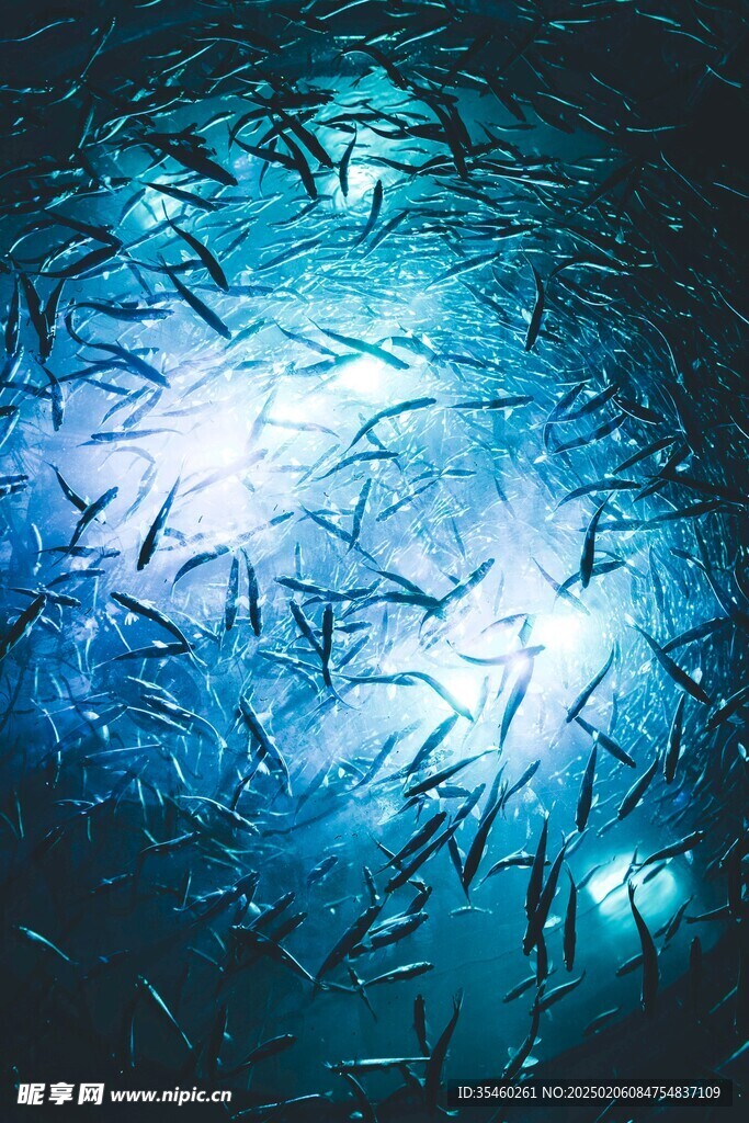 海底世界