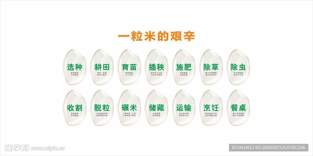 一粒米的艰辛