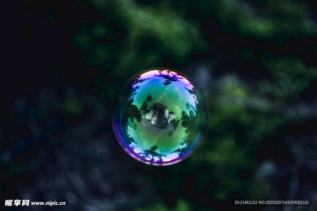 泡泡