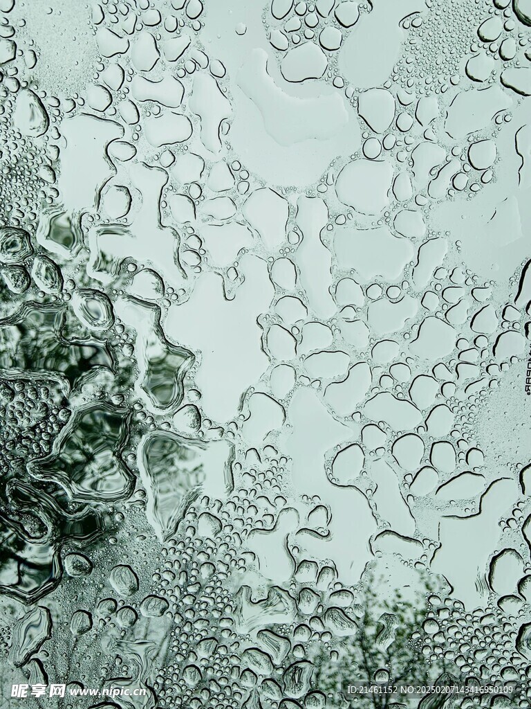 泡泡