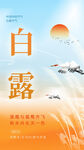 白露