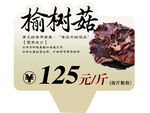 榆树菇商超价牌
