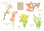 花朵