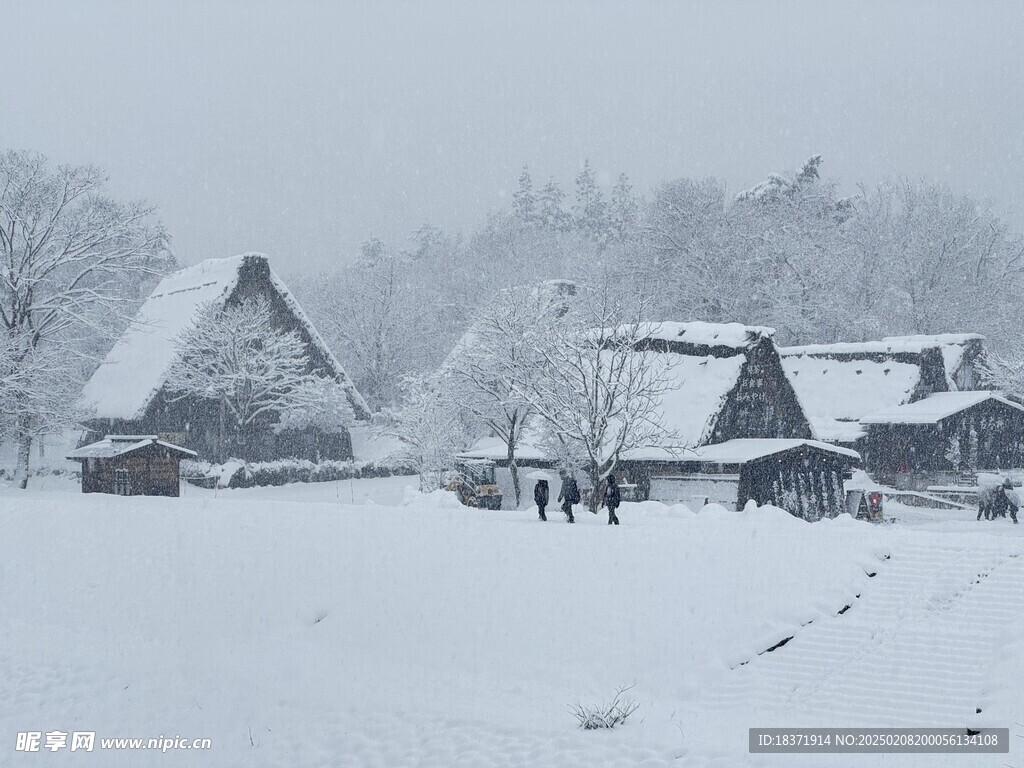 日本白乡川合掌村