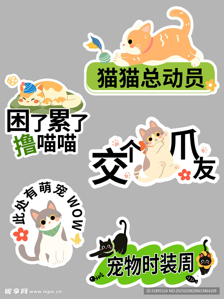 猫咪氛围牌
