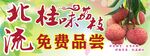 桂味荔枝
