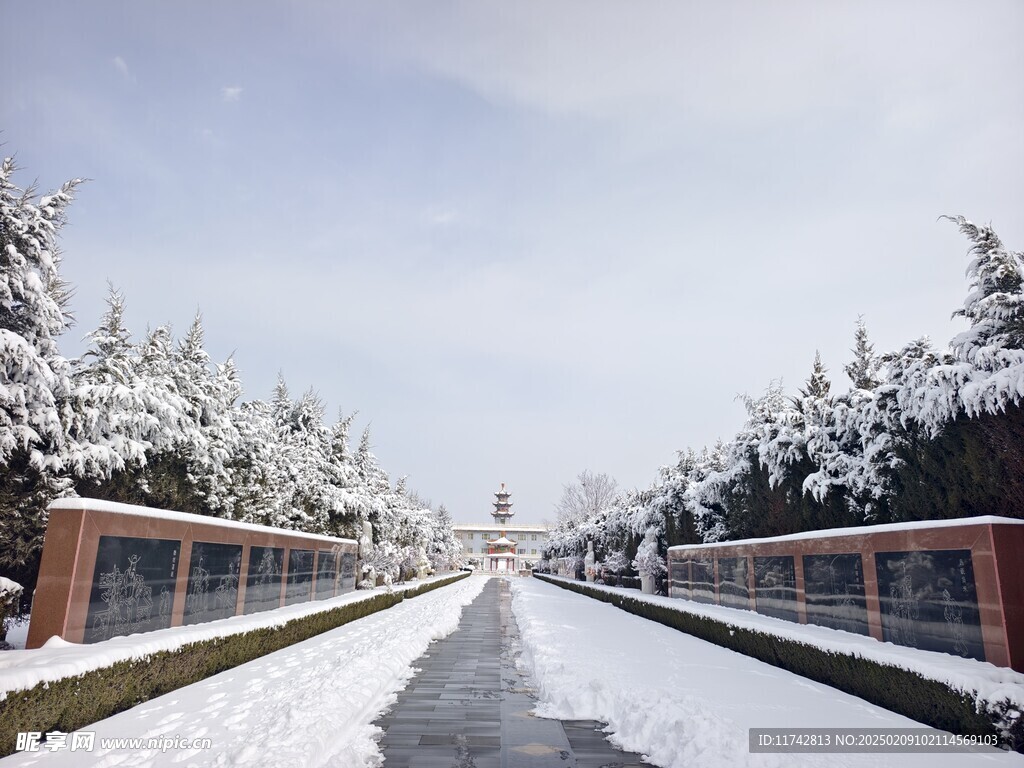 雪景  下雪的路