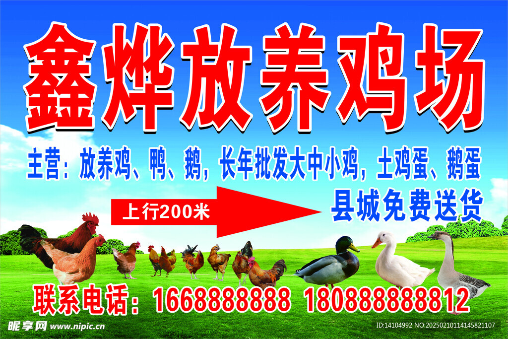 放养鸡场