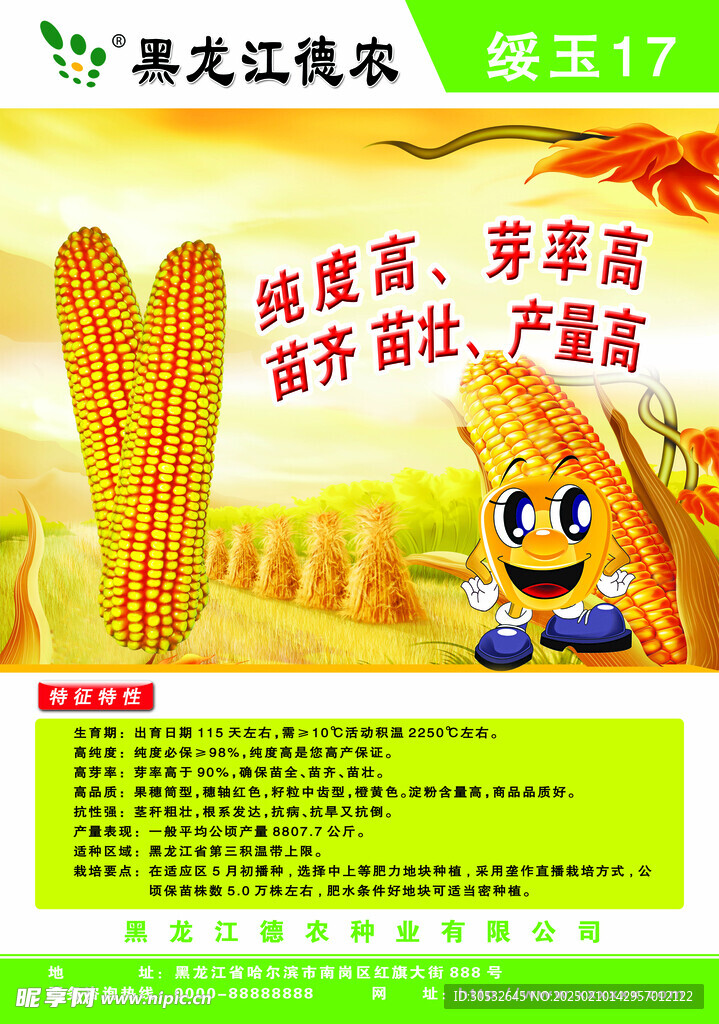 玉米种业展板