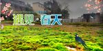 遇见春天