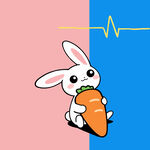 胡萝卜和兔兔