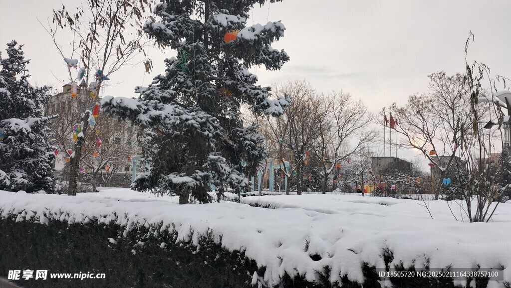 广场雪景