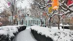 广场雪景