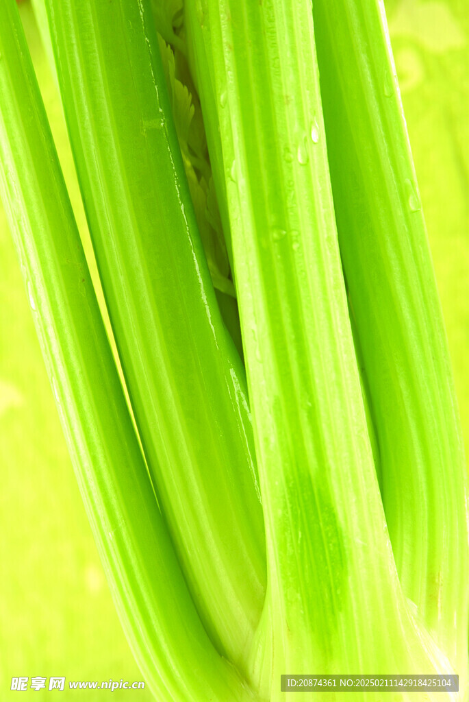 芹菜