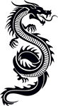 矢量龙