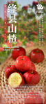山楂海报