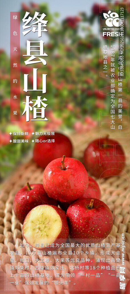 山楂海报