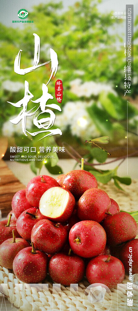 山楂海报
