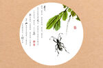 水墨虫子 虫趣
