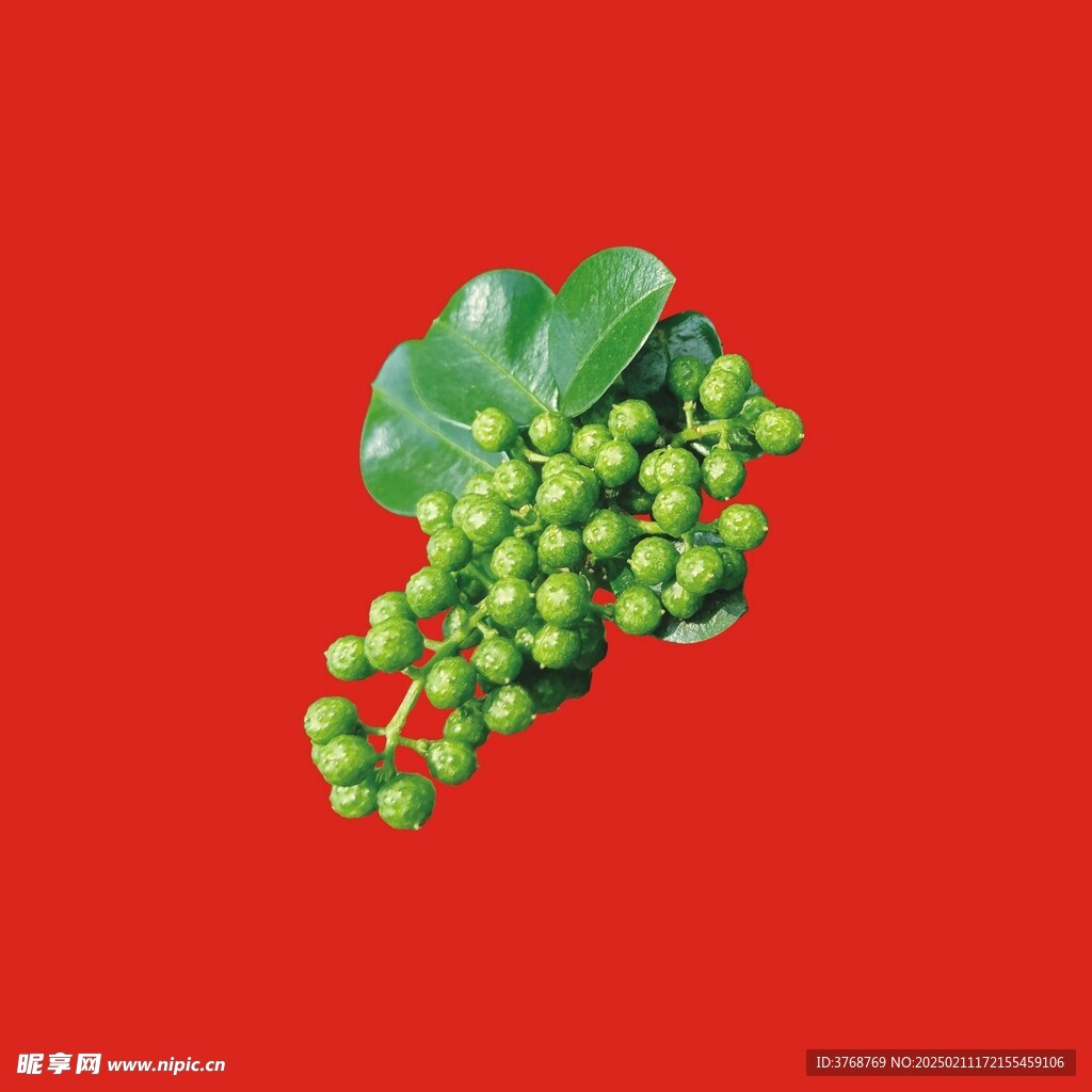 青花椒