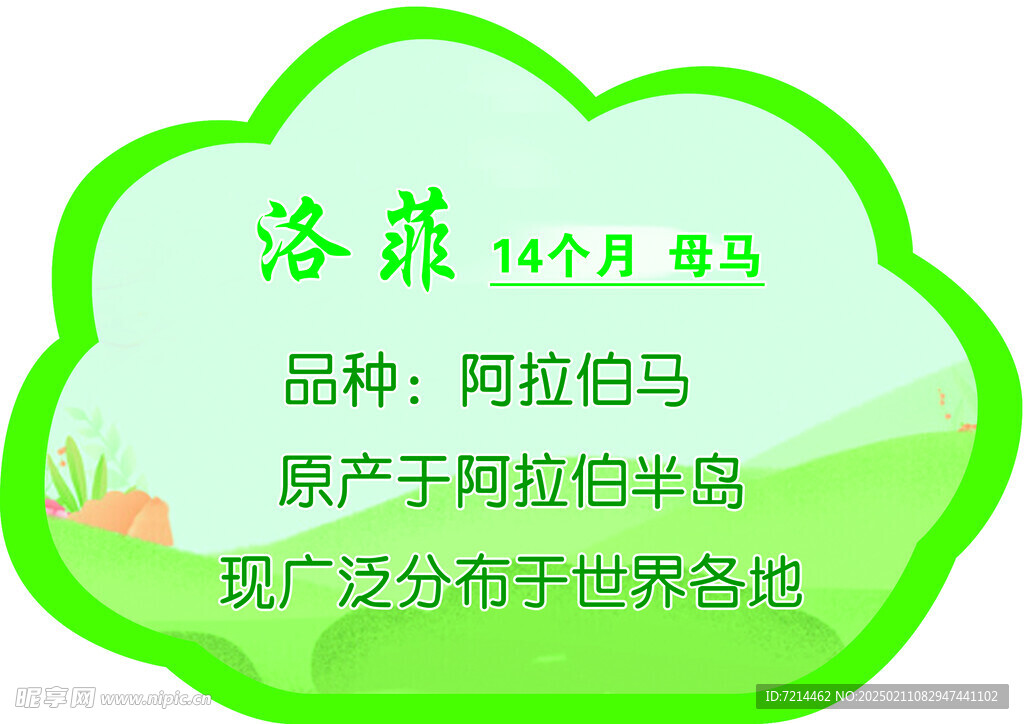 产品介绍
